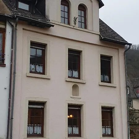 Ferienhaus - Bis 8 Personen - Tiere Erl. - Blick Auf Die Mosel Holiday home