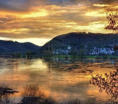 Ferienhaus - Bis 8 Personen - Tiere Erl. - Blick Auf Die Mosel Σπίτι διακοπών