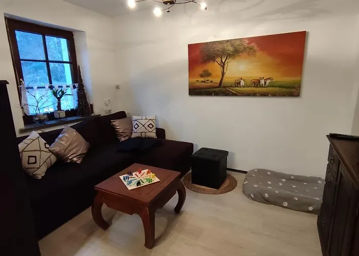 Ferienhaus - Bis 8 Personen - Tiere Erl. - Blick Auf Die Mosel *