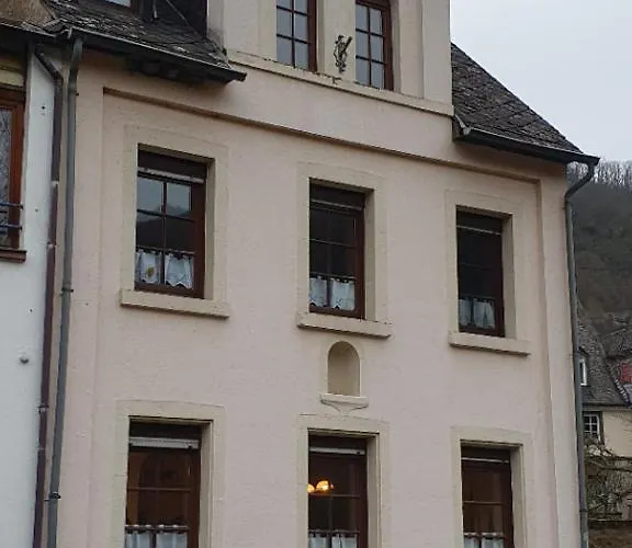 Ferienhaus - Bis 8 Personen - Tiere Erl. - Blick Auf Die Mosel Casa de Férias