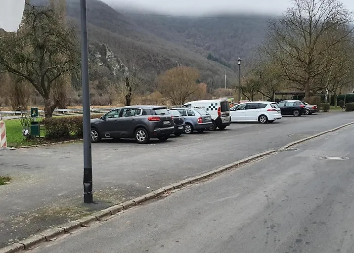 Ferienhaus - Bis 8 Personen - Tiere Erl. - Blick Auf Die Mosel * Moselkern